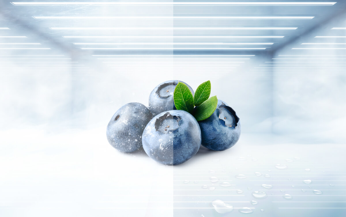 TCL P456BF Refrigerator Total No Frost