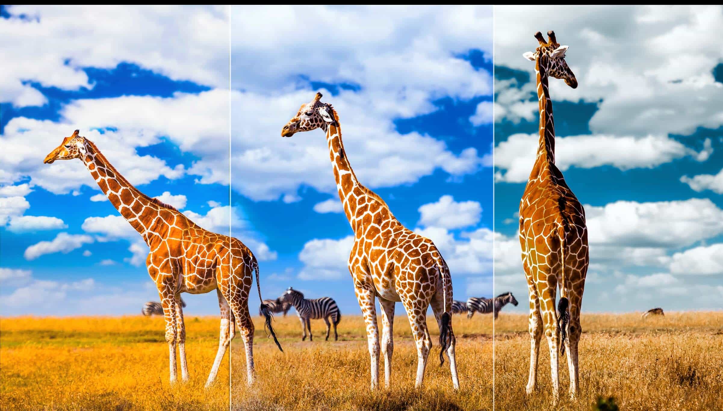 TCL C745 QLED TV AIPQ- AI Color