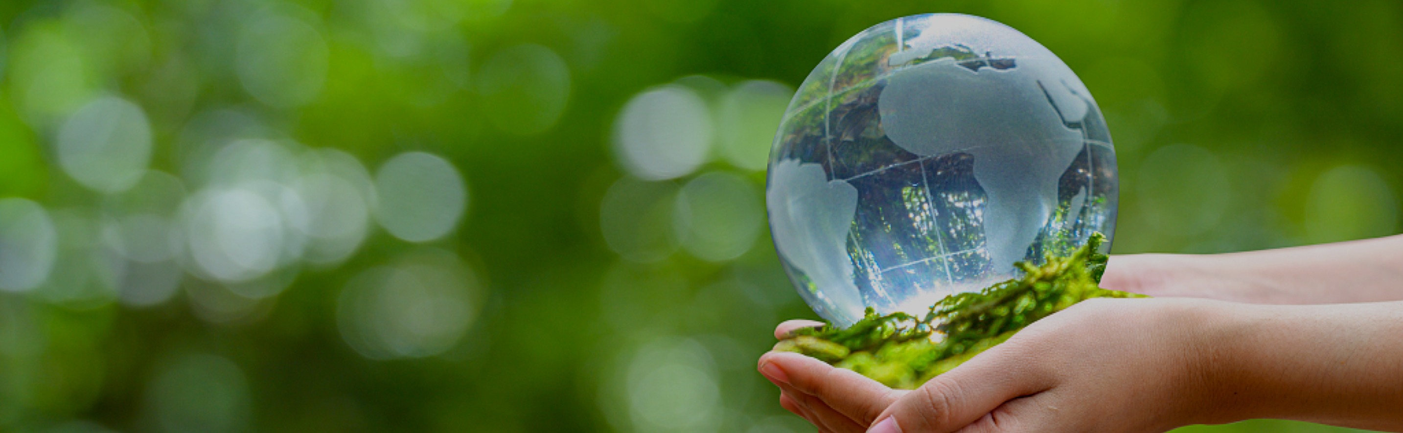 Corporate Social Responsibility