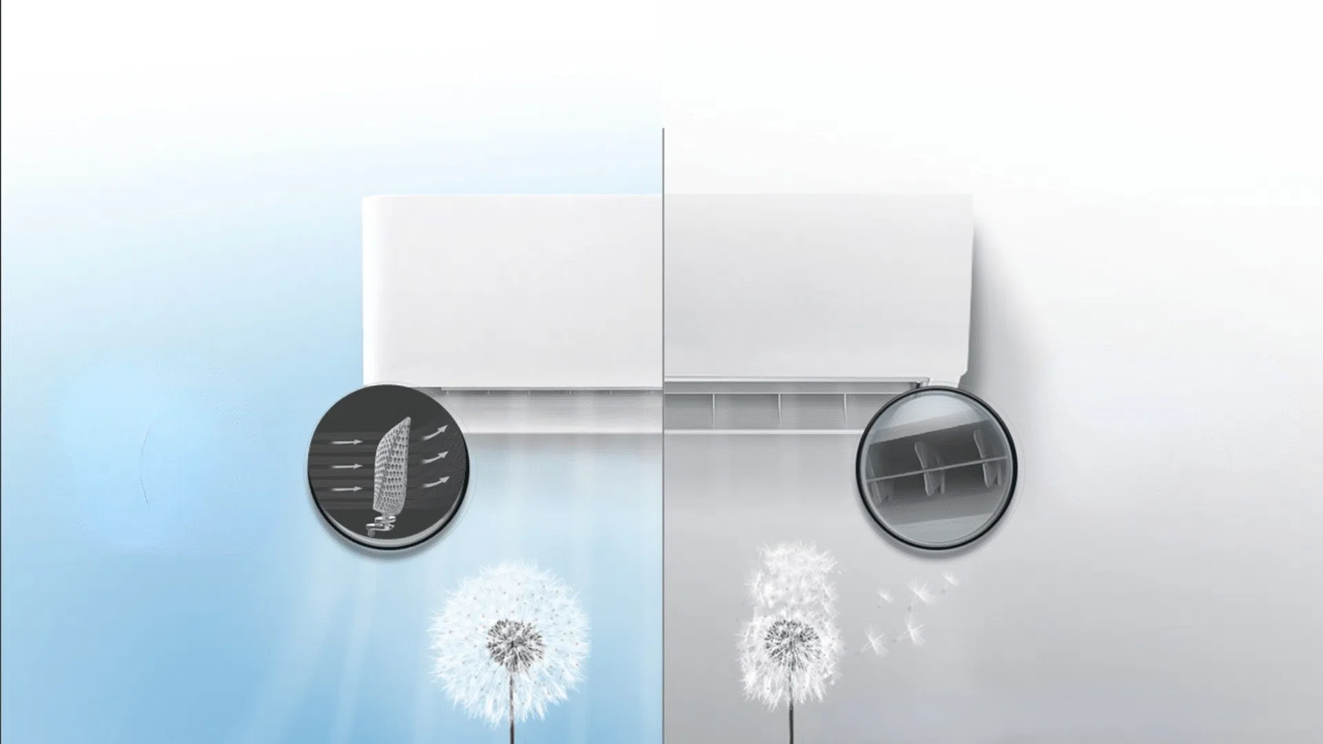 5.png?t=1640747881850&w=1200&webp=true&dpr=1