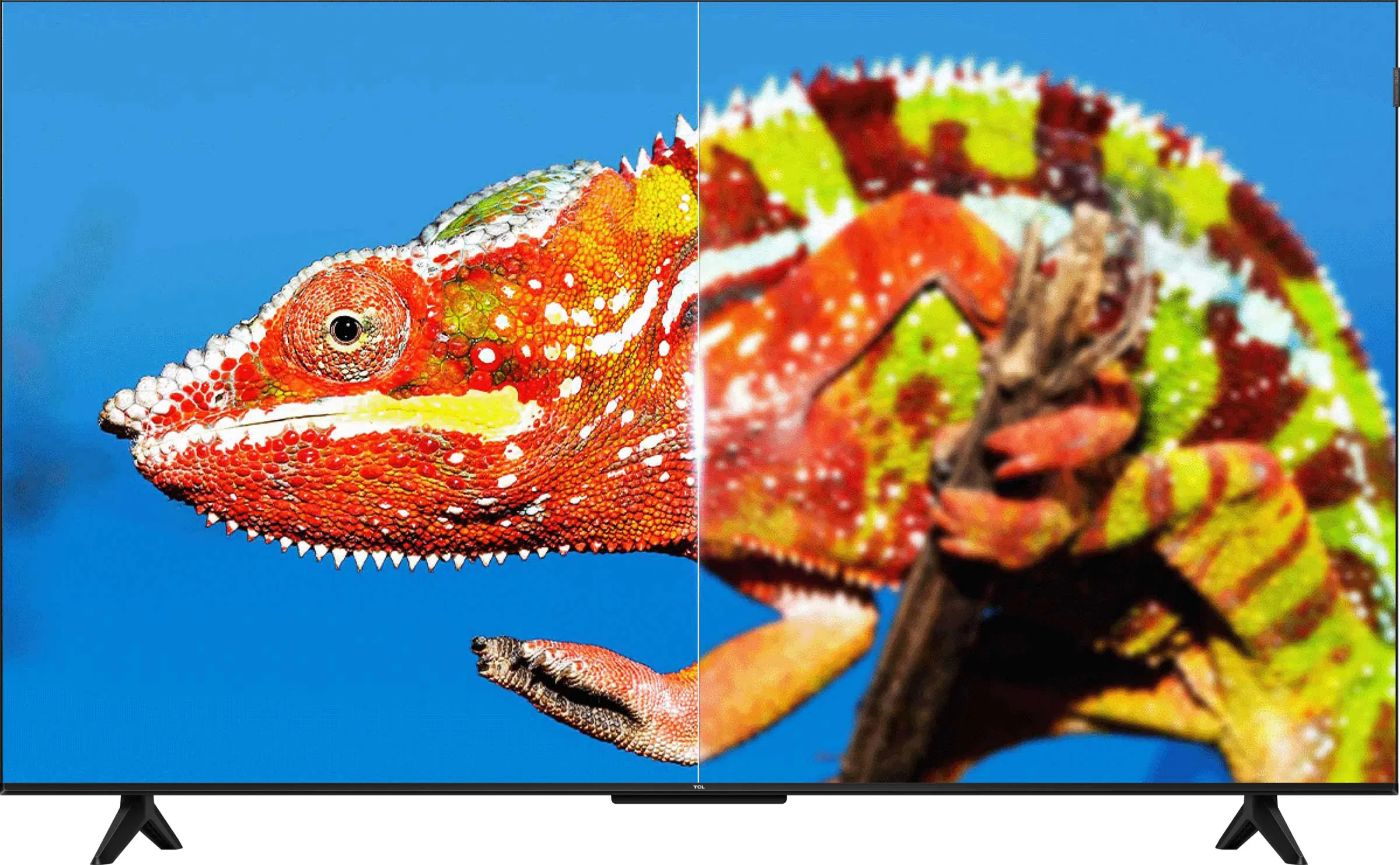 Le téléviseur QLED TCL G50K, doté de la technologie Ai-Clarity, reconnaît l'image en détail.