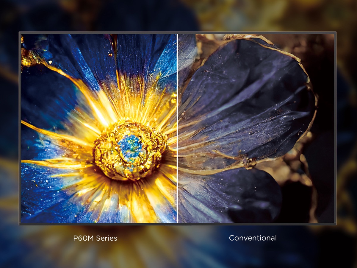 TCL P60 Vivid and vibrant pictures