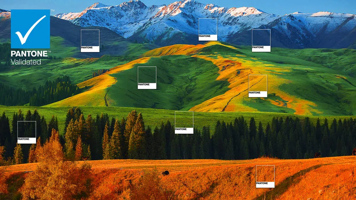 מסך מחשב גיימינג 34 Mini Led 34R83Q מבית TCL - TCL 34R83Q Monitor PANTONE Validated