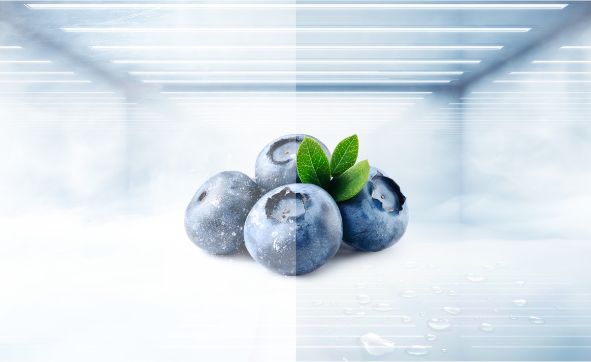 Refrigerator C620SBD avoid the growth of ice, saving time on defrosting.