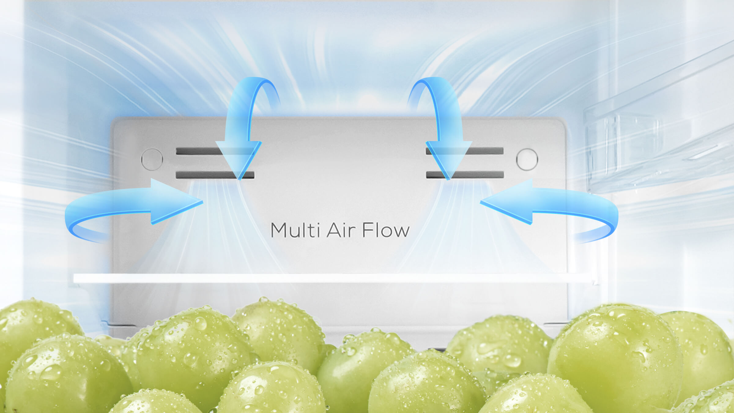 TCL P249TM Top Mount Refrigerator Multi Air Flow