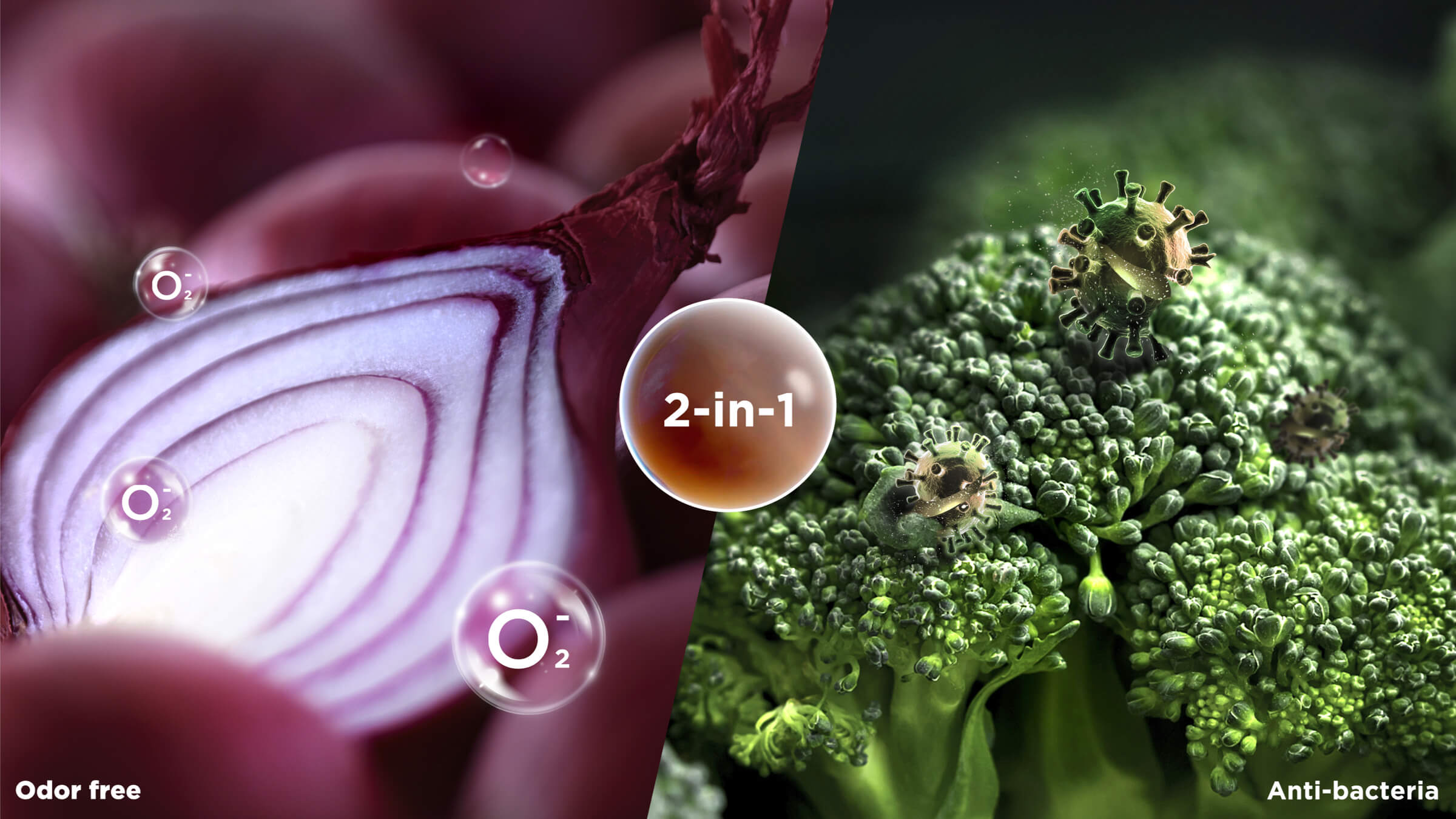 TCL P286TM Top Mount Refrigerator Bacteriostatic and purificatory