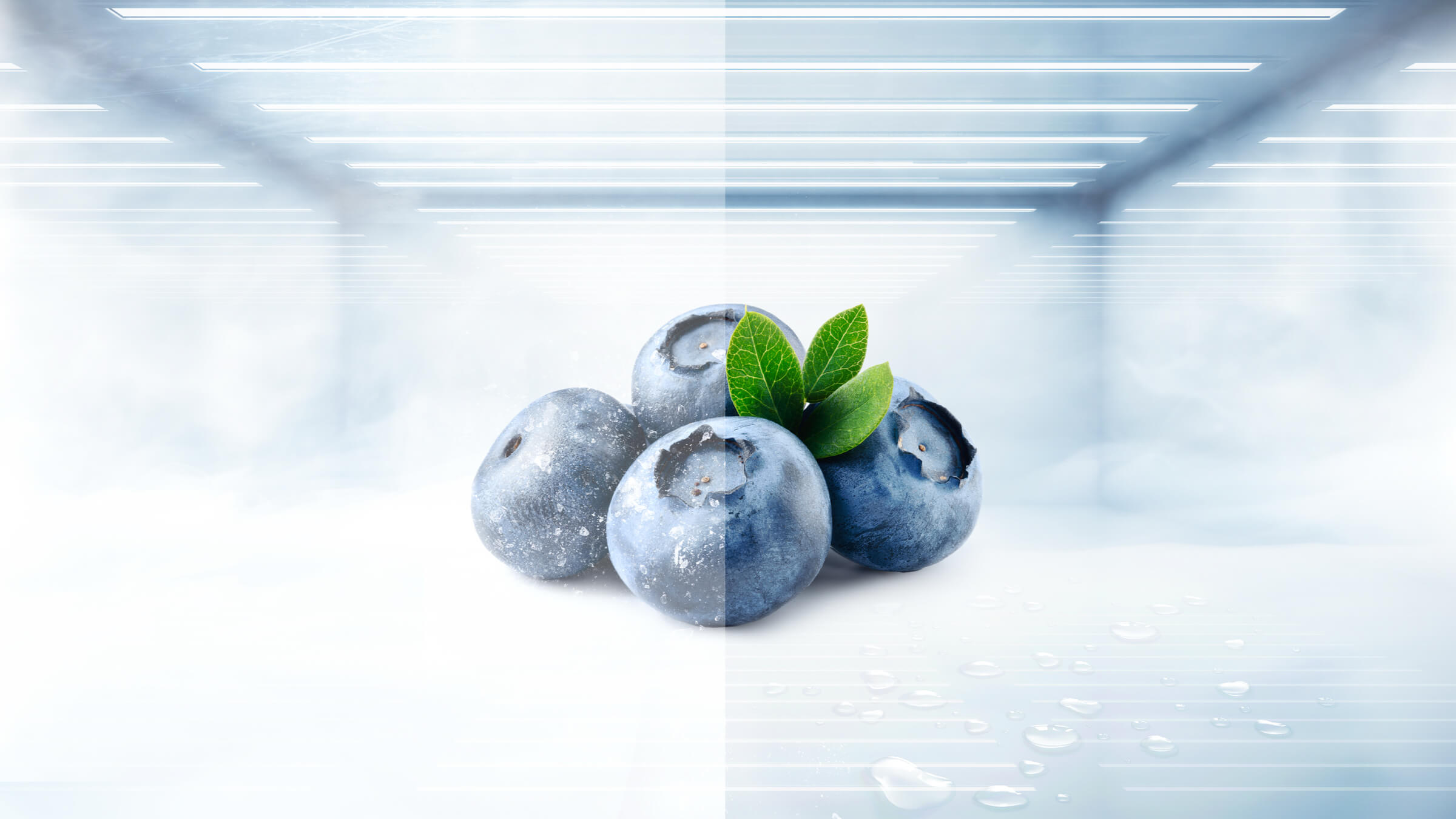 TCL P200TM Top Mount Freezer Total no Frost