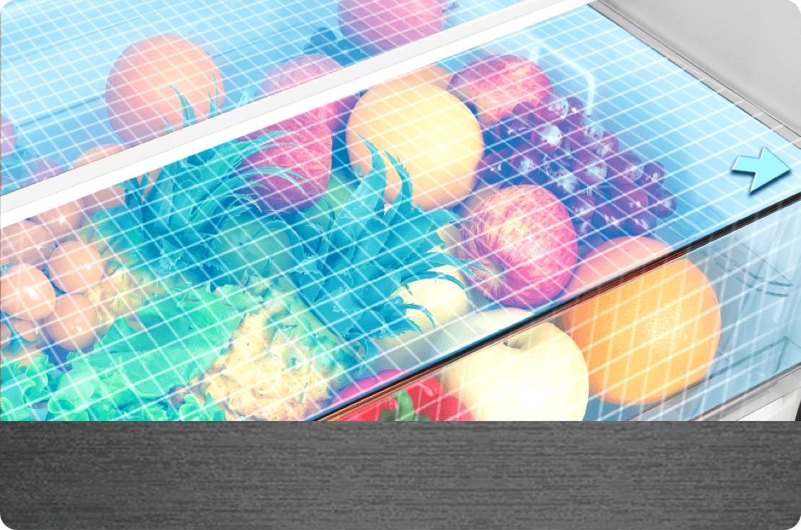 TCL Refrigerator P350BF Big Fresh Drawers