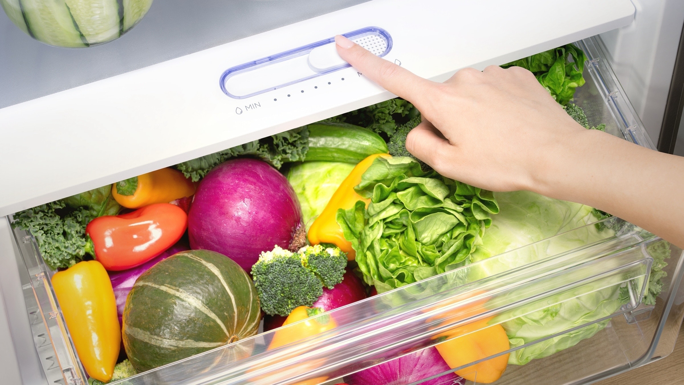 TCL C387BF Refrigerator store food flexible