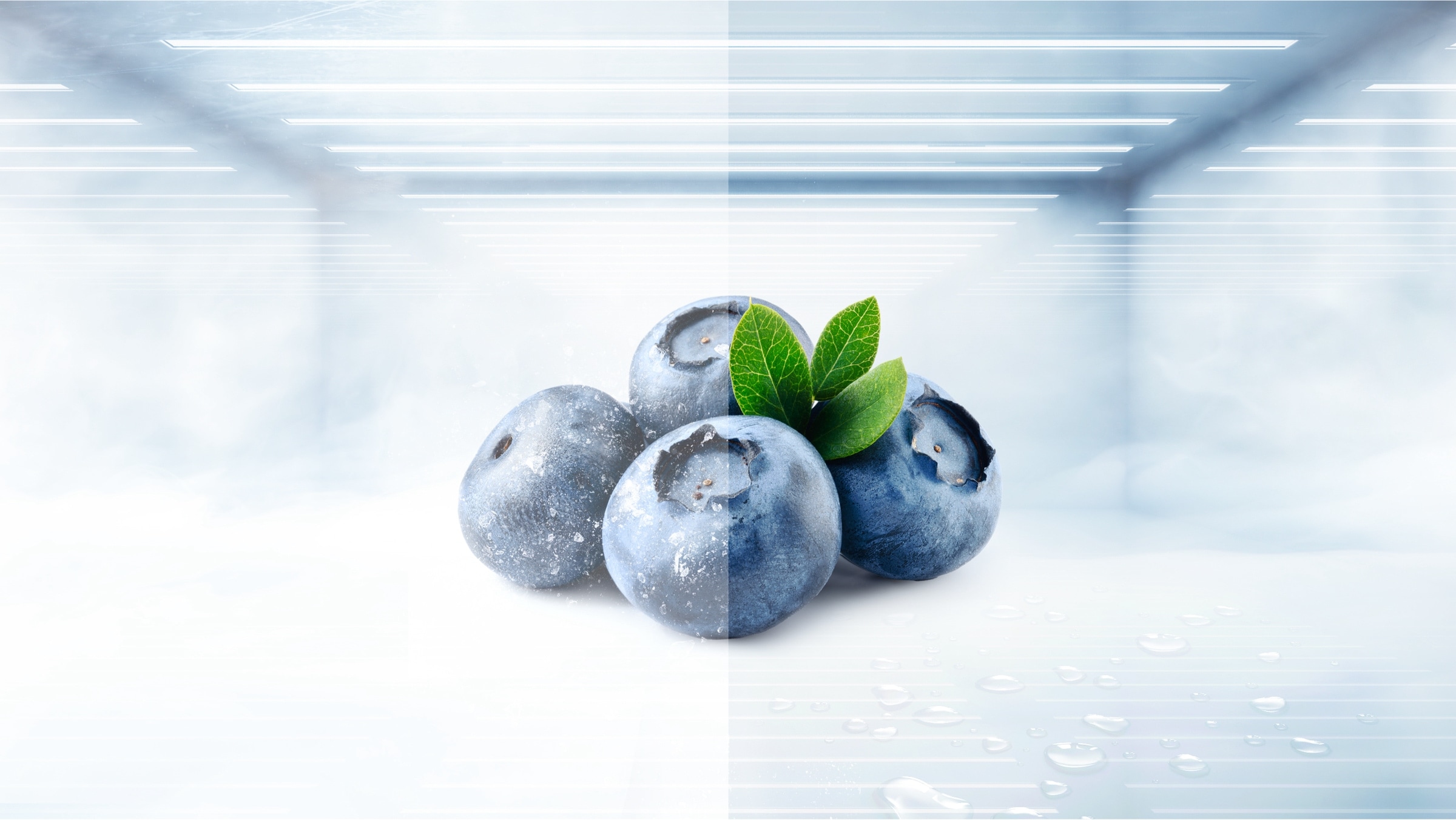 TCL P465TM Top Mount Refrigerator Total no Frost