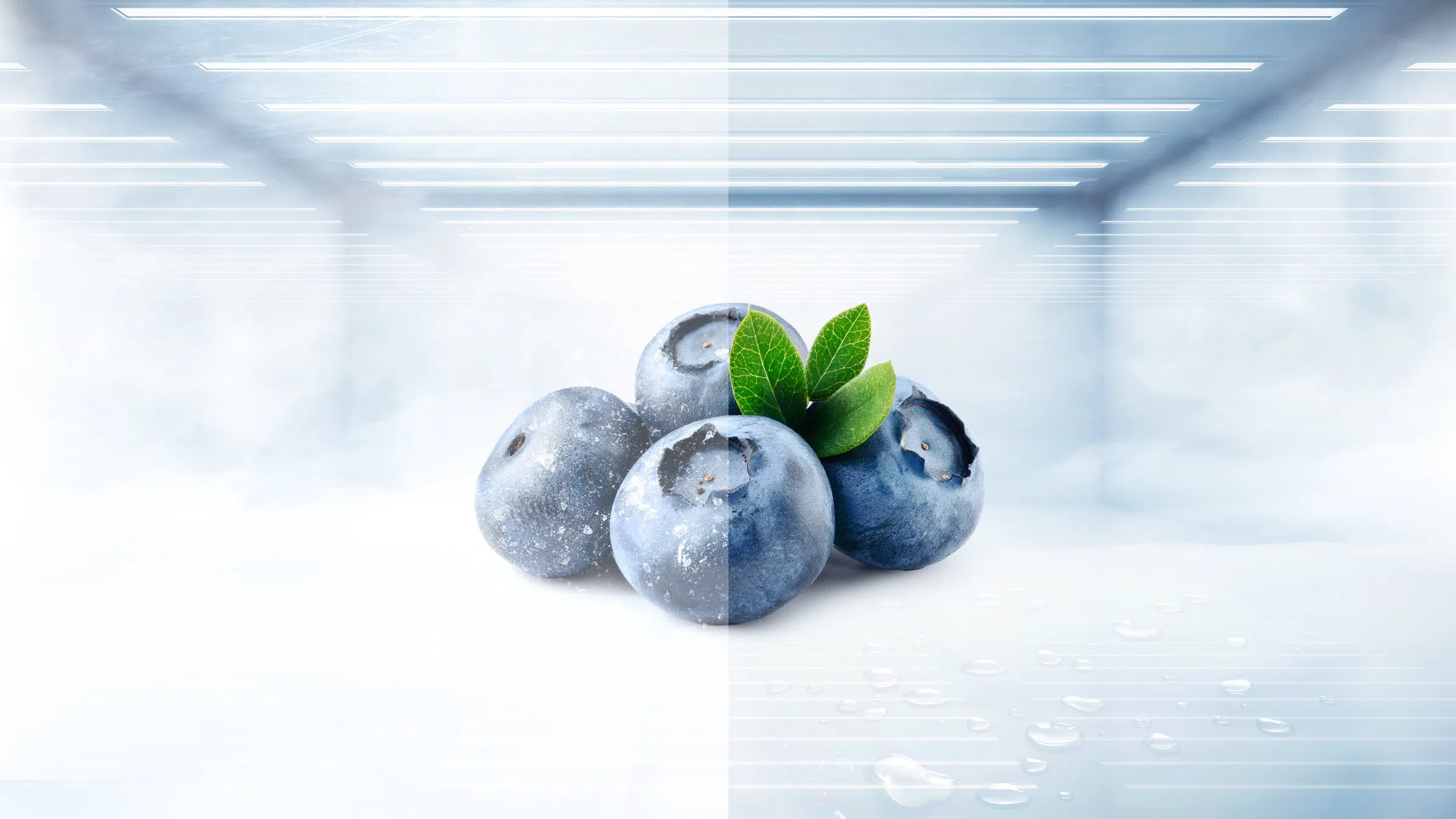 TCL P550TM 420L Top Mount Refrigerator