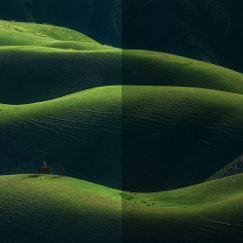 Natural Light Optimization