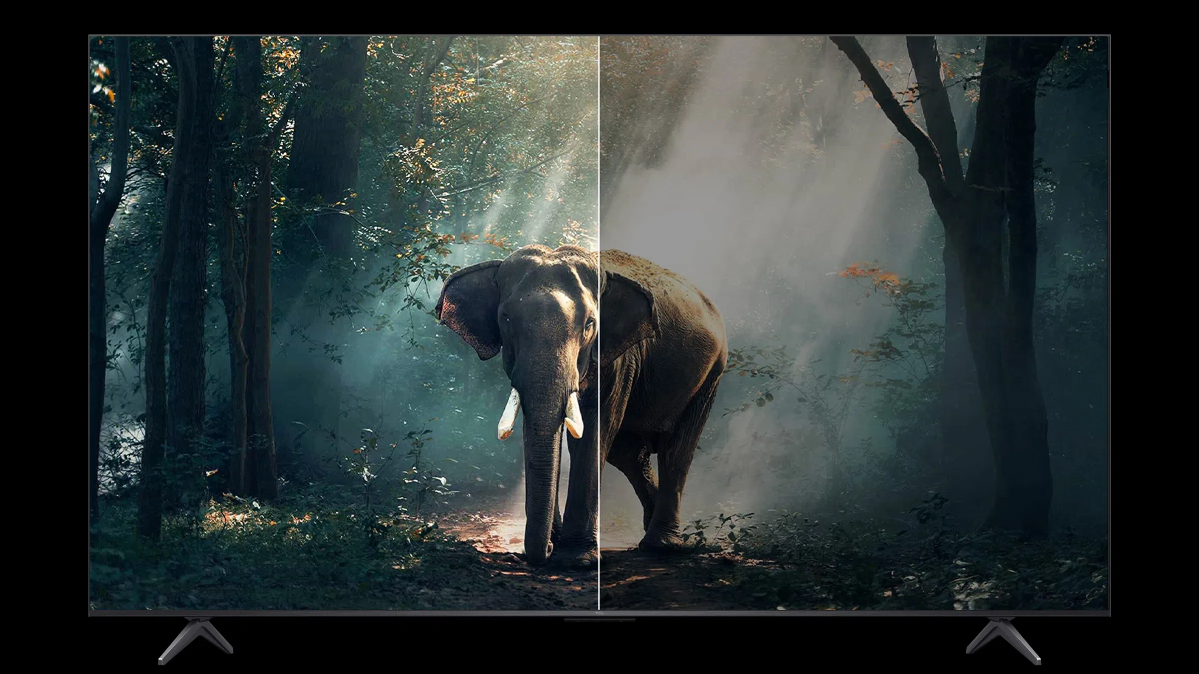 Ai Contrast טלוויזיה חכמה C61K Premium QD-MiniLED מבית TCL