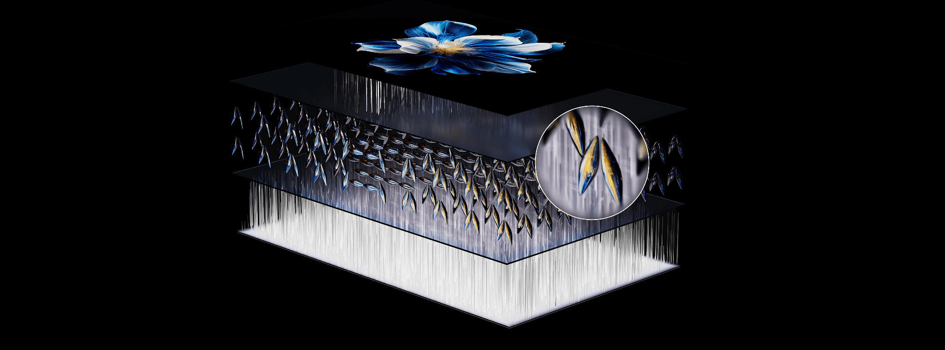 HVA Panel Technology