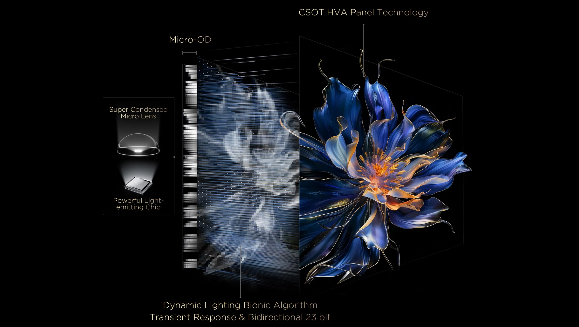 טלוויזיית Mini LED: מסלקת ההילות