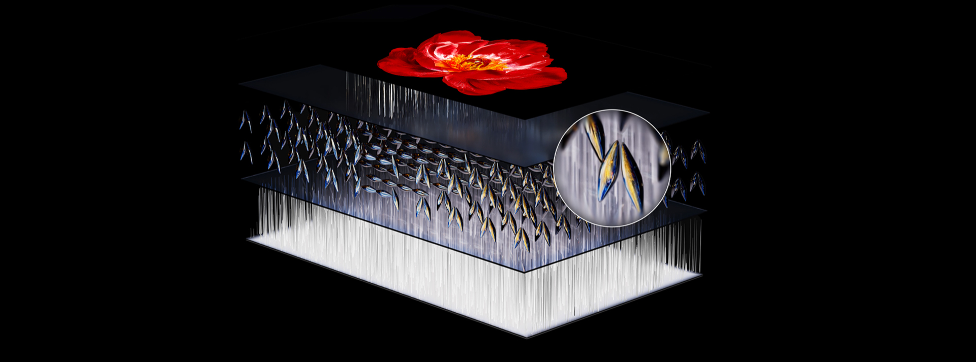 Up to 7000:1* ultra-high native contrast ratio