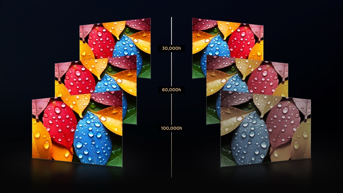 C655 Pro TV  Effective light emission for 100,000 hours