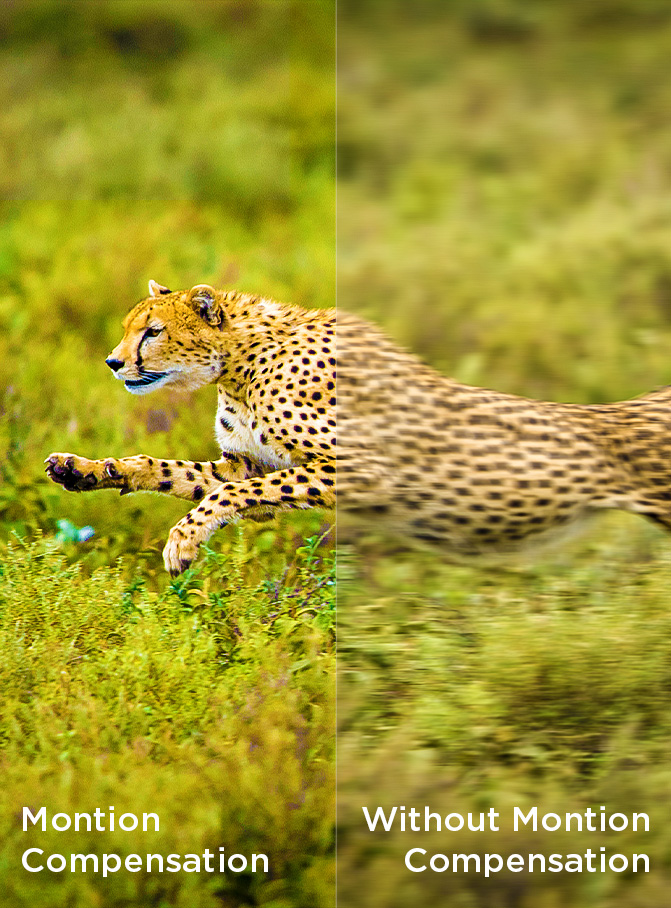 motion compensation & without motion compensation