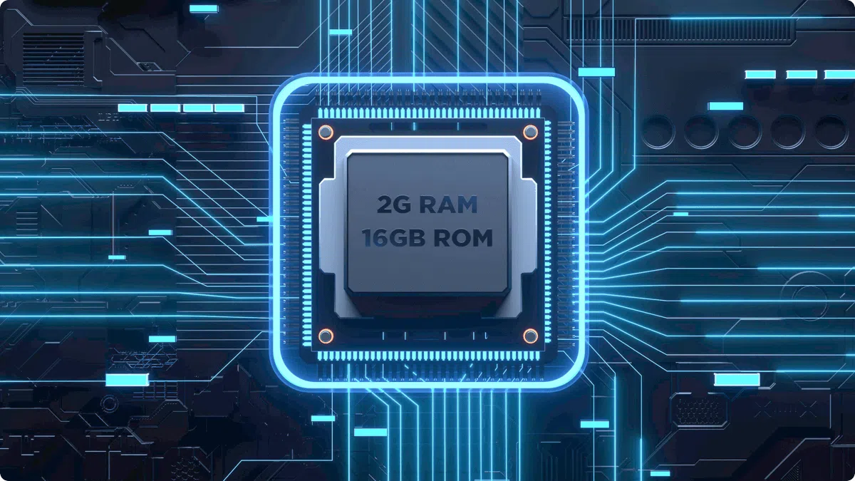 TCL P6K Big Memory for Massive Content