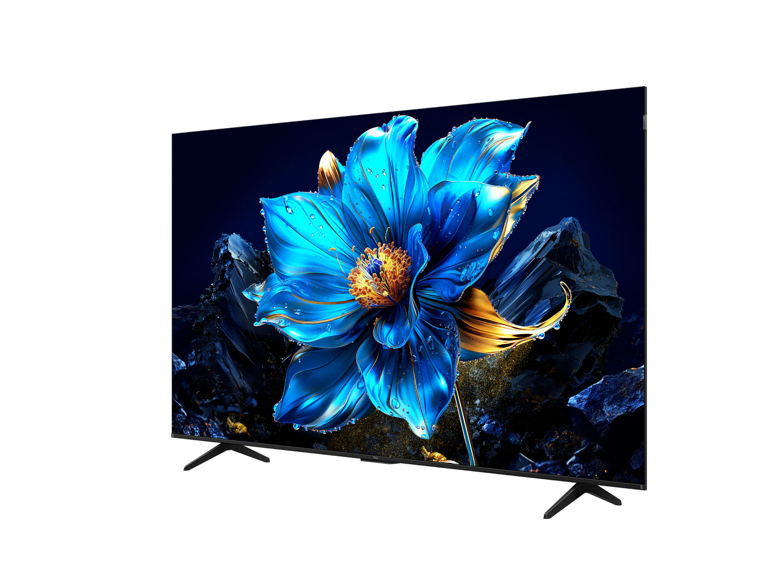 75T6C Picture 4