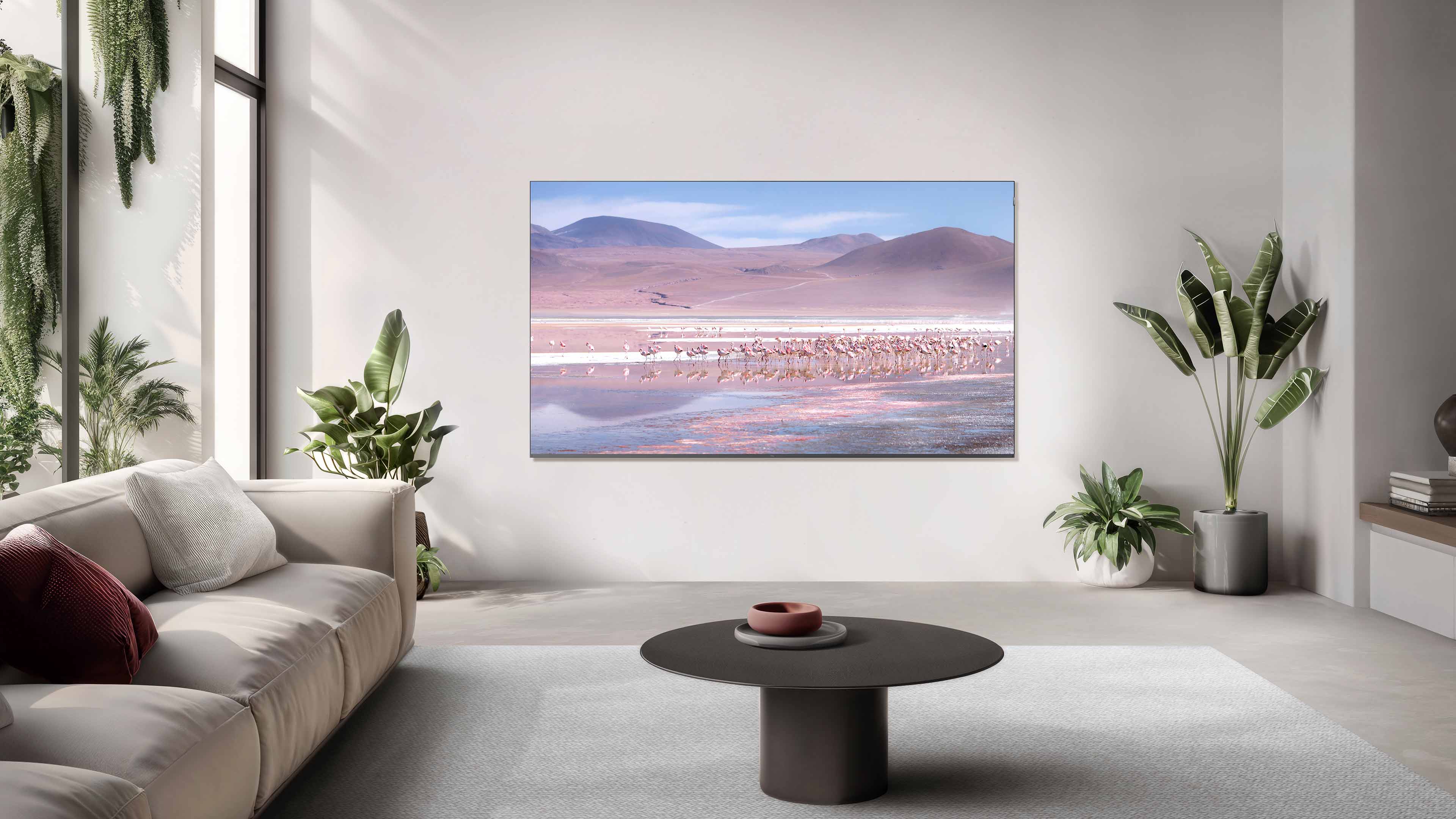 TCLTV C7K Premium QD-MiniLED TV Display