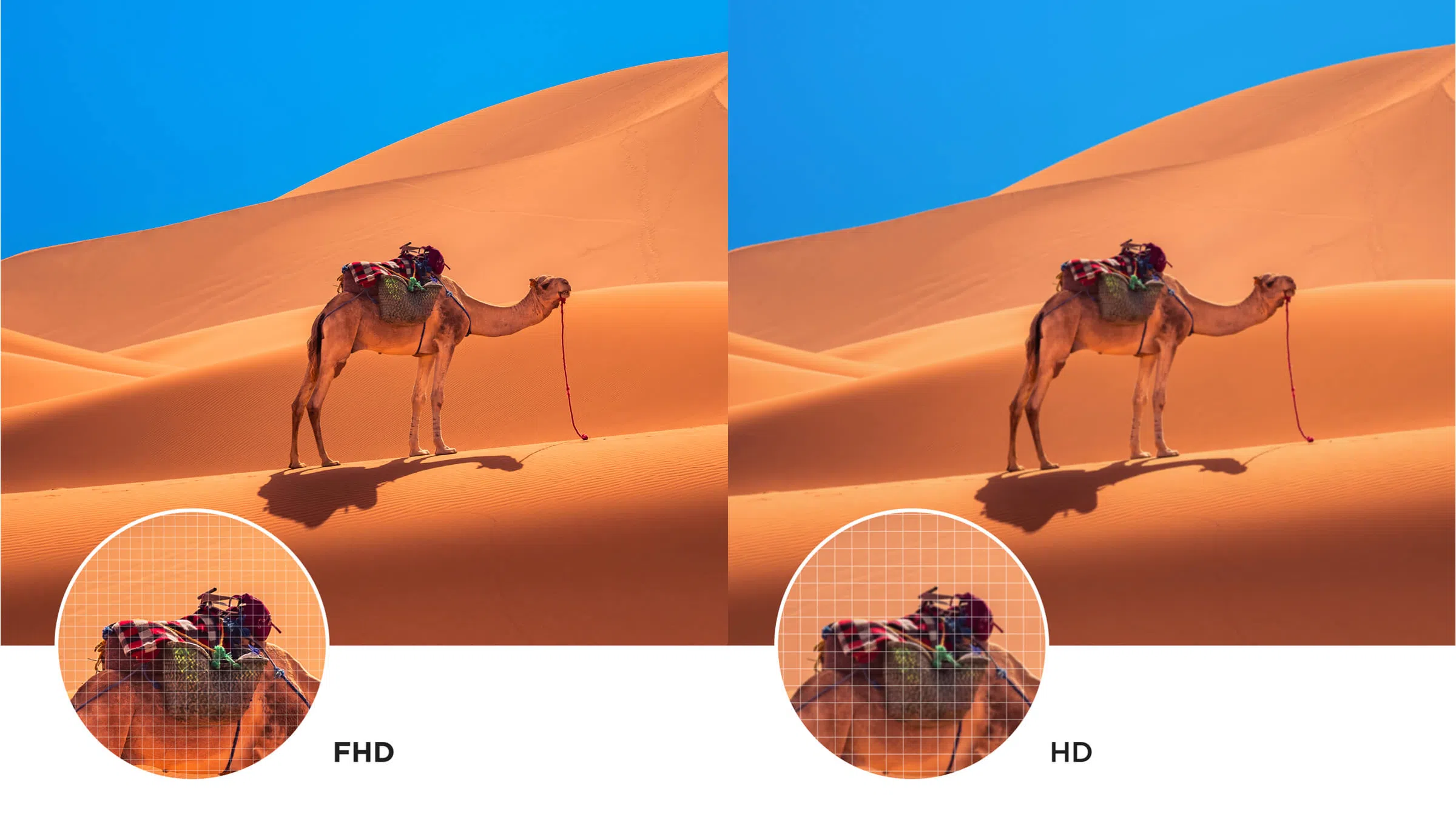 Televisor iFFALCON S55 FHD y pantalla HD