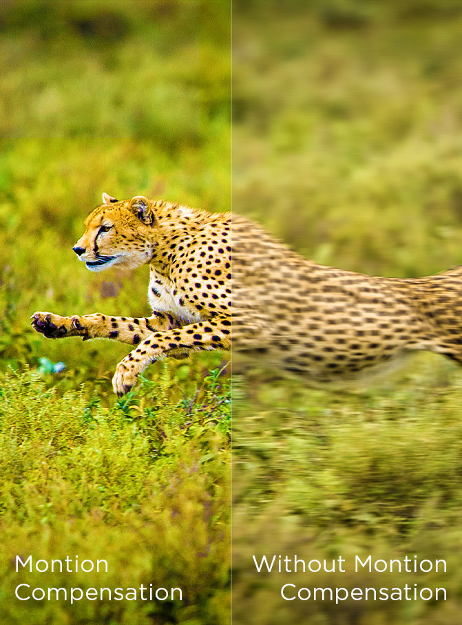 Multiple Eye Care-MEMC motion stabilization