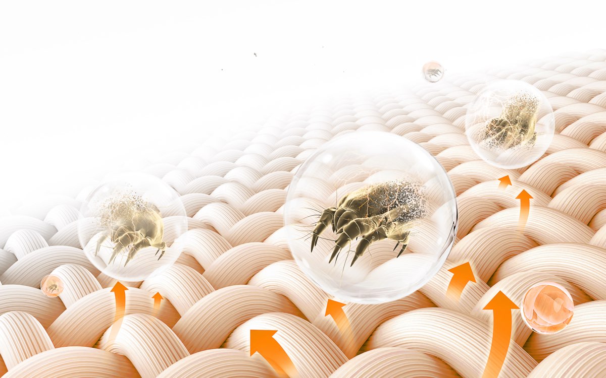 Eliminate Mites  from your laundry