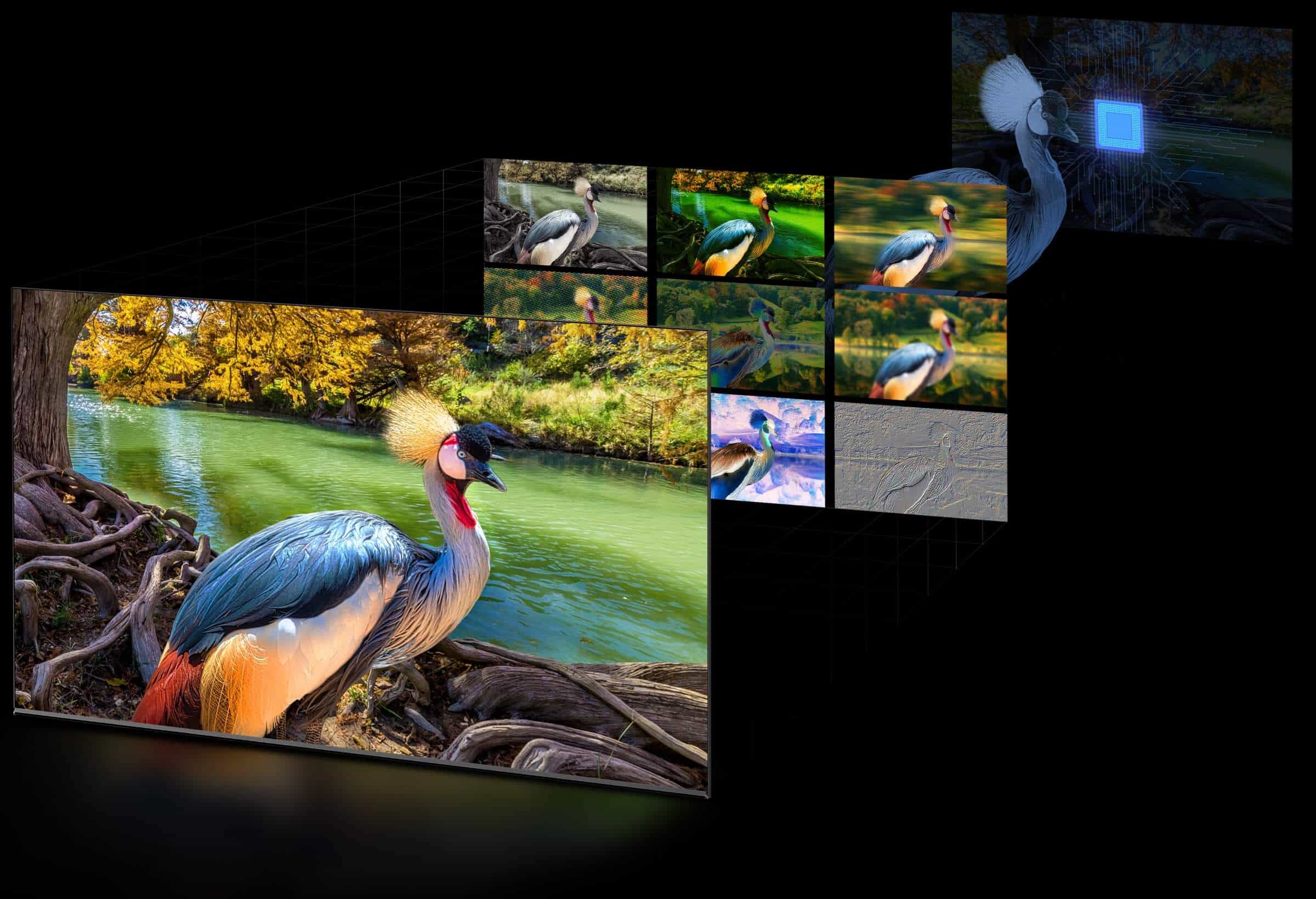 乐竟体育 C645 QLED TV con PROCESADOR AiPQ 3.0
