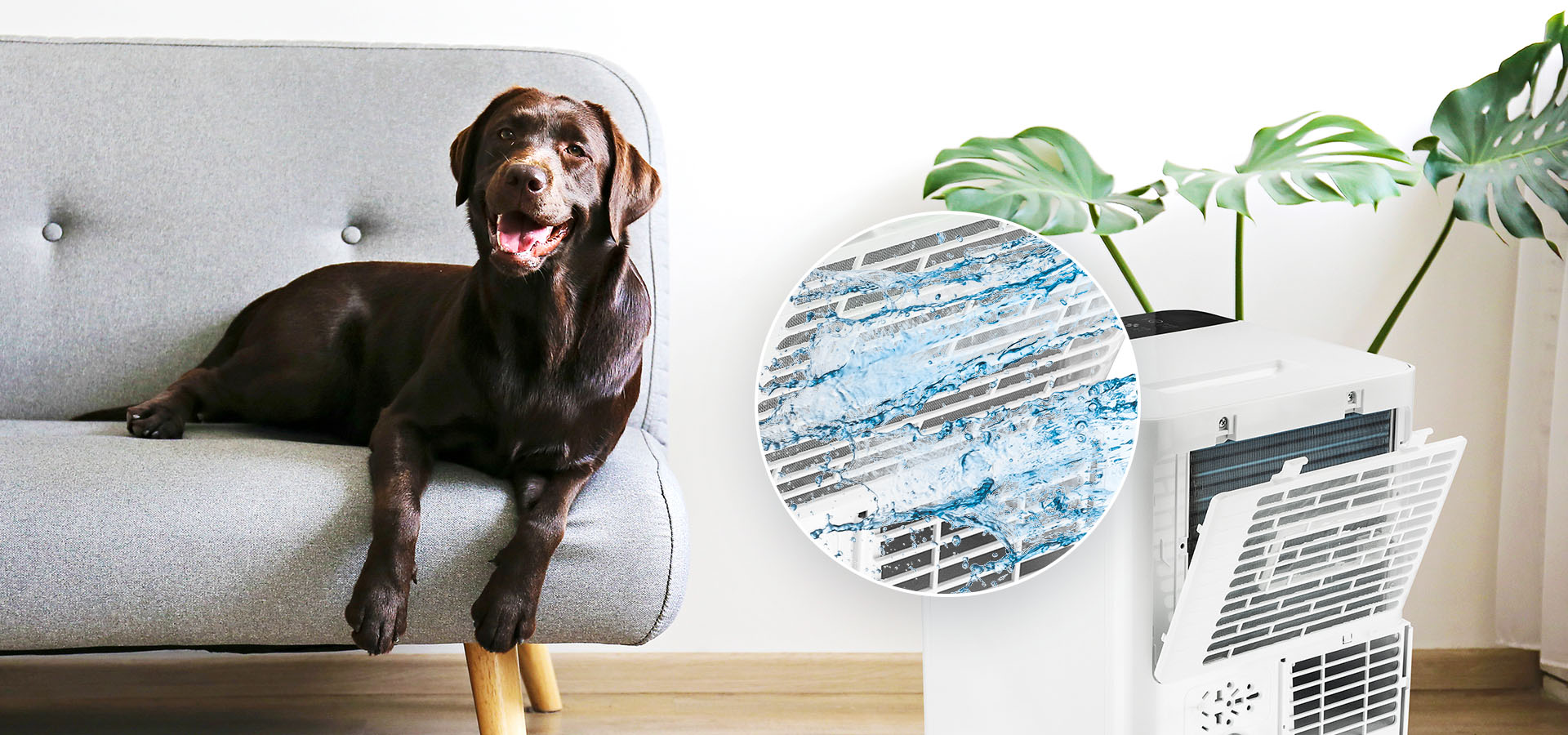 washable filters in portable air conditioners for easy maintenance from TCL