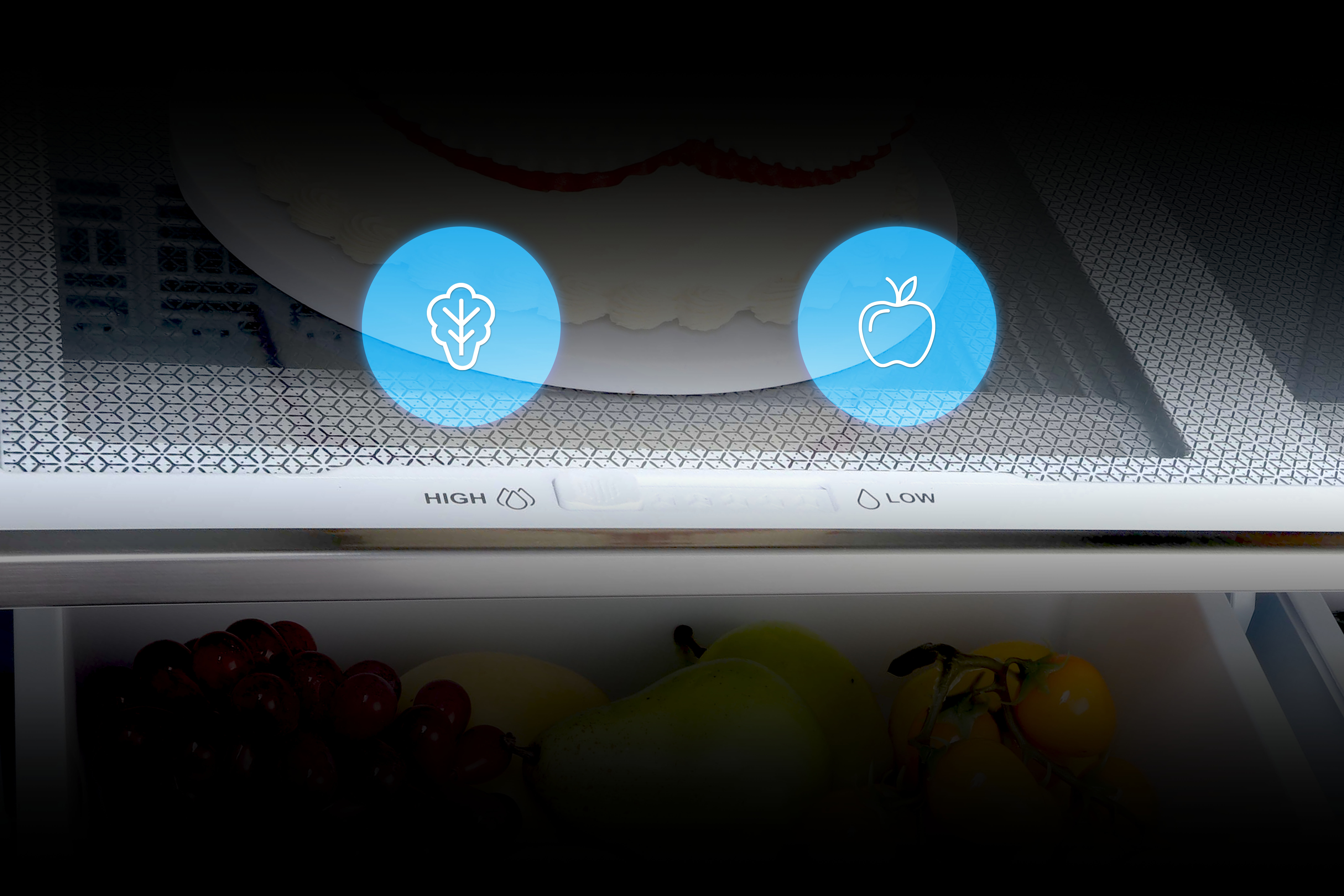 Perfect Freshness, Just a Slide Away