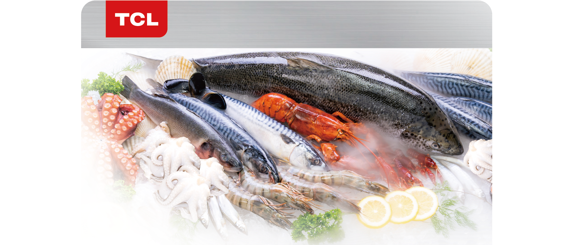 Qual a Temperatura Ideal da Geladeira para Preservação Ótima dos Alimentos?