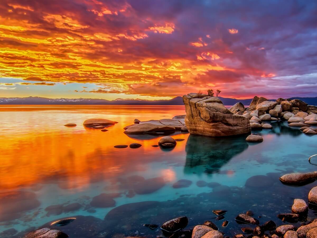 LETOU - ��Ͷ C635 Cena imersiva