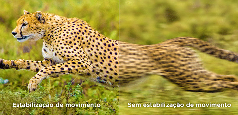 Motion Compensation vs without Compensation