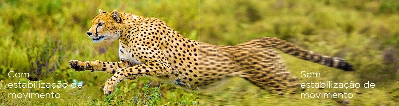 Motion Compensation vs without Compensation