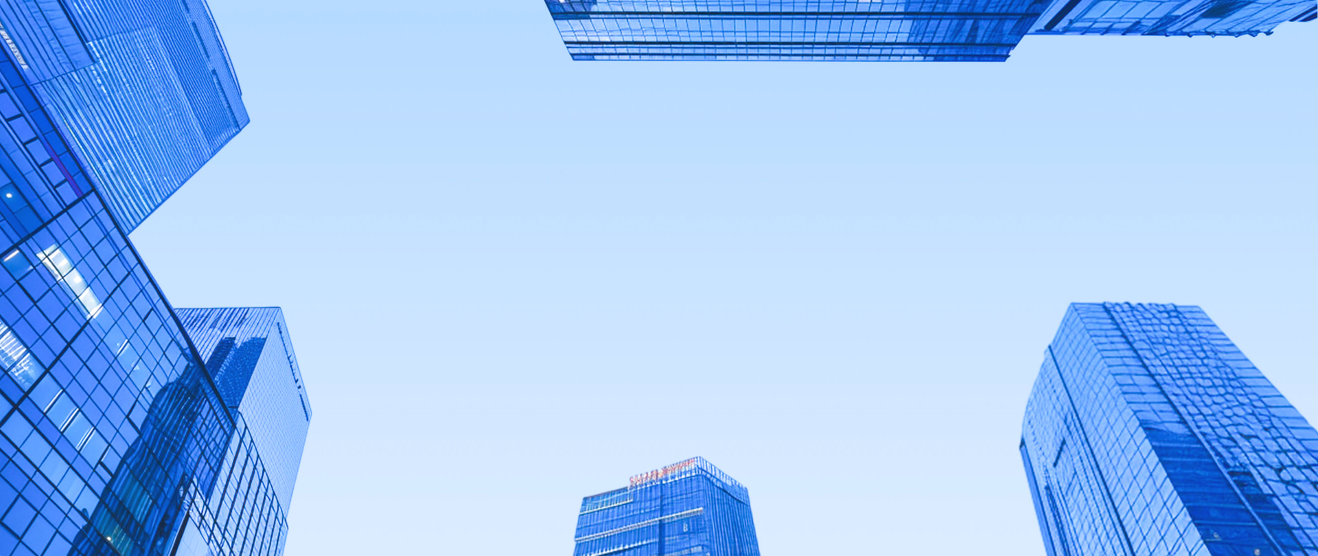 TCL科技 2023年度DEI