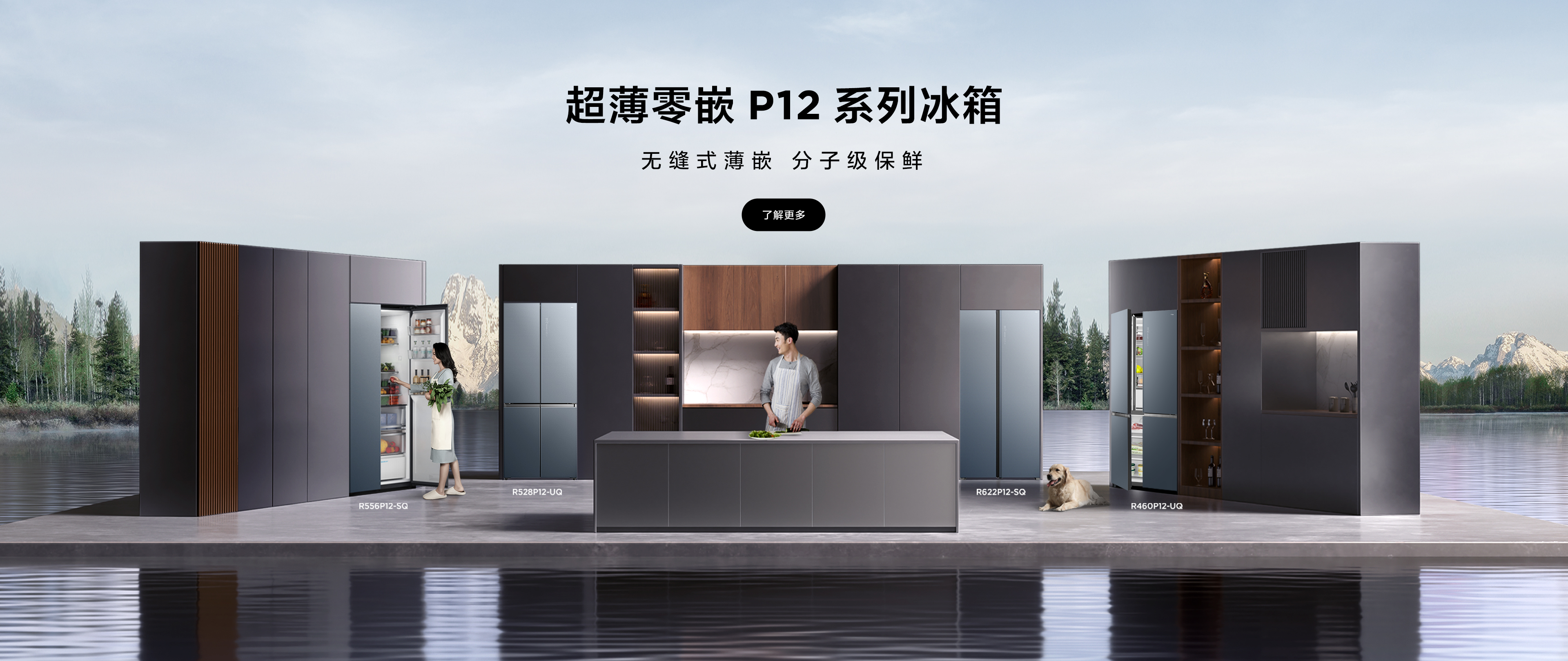 超薄零嵌 P12 系列冰箱