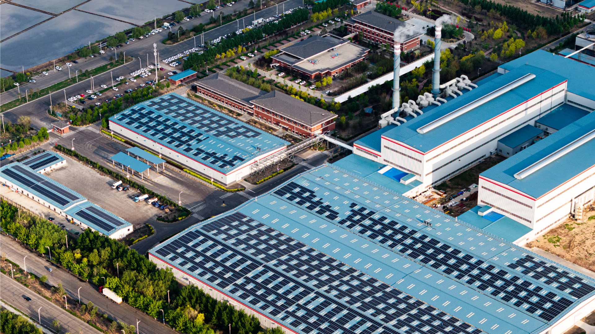 吉林白城梅花氨基酸