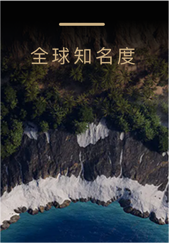 作为全球品牌，我们的产品在世界各地都享有卓越的声誉