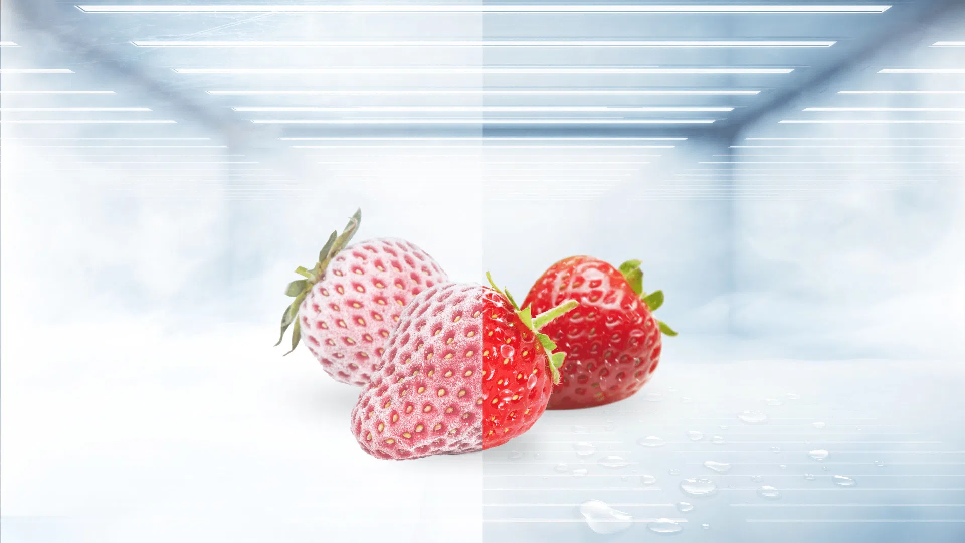 TCLP635sbss 505LITERS REFRIGERATOR-NO FROST; available in kenya at the best price in narobi cbd