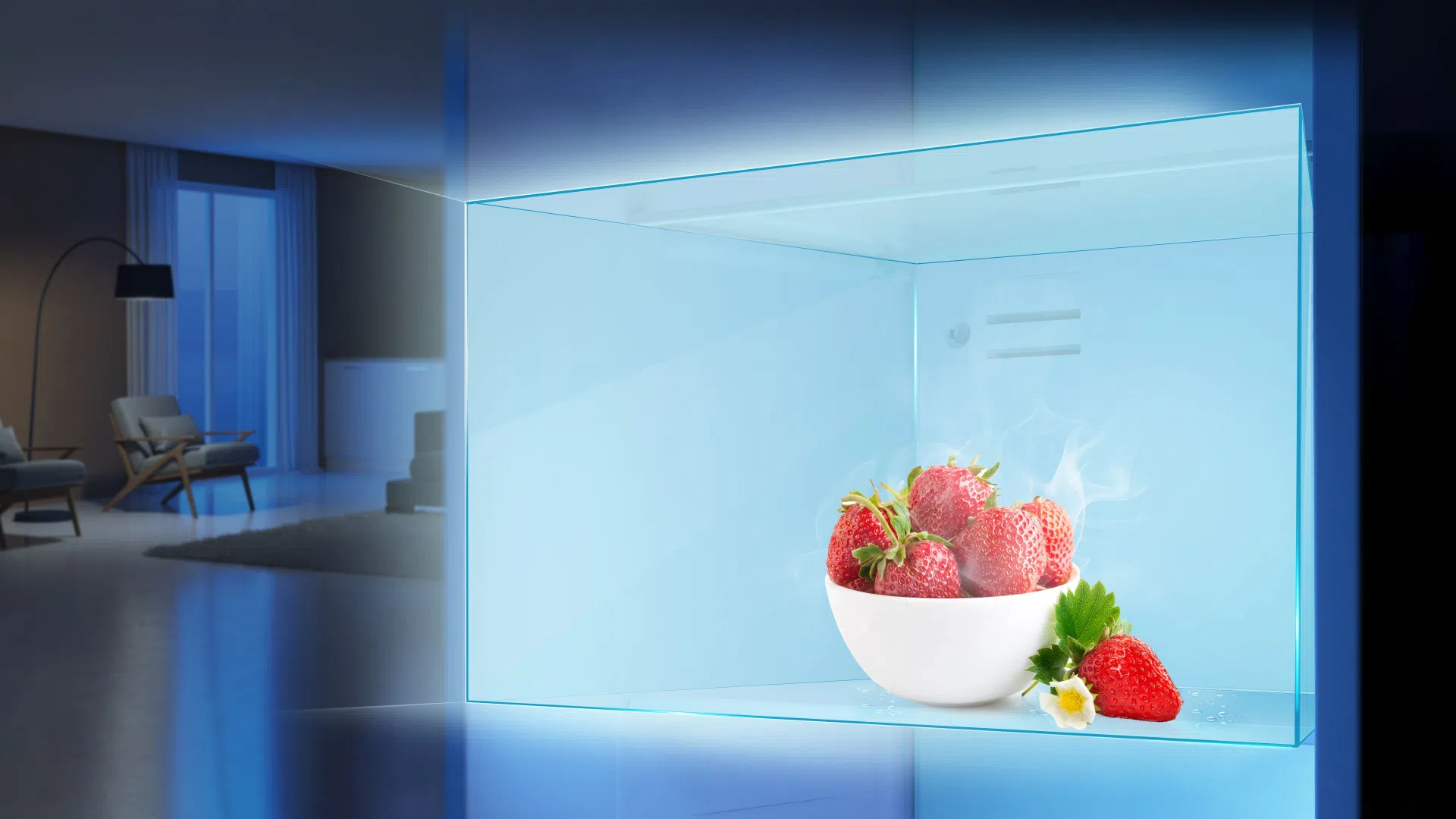 TCL P323SS 249L Top Mounted Refrigerator