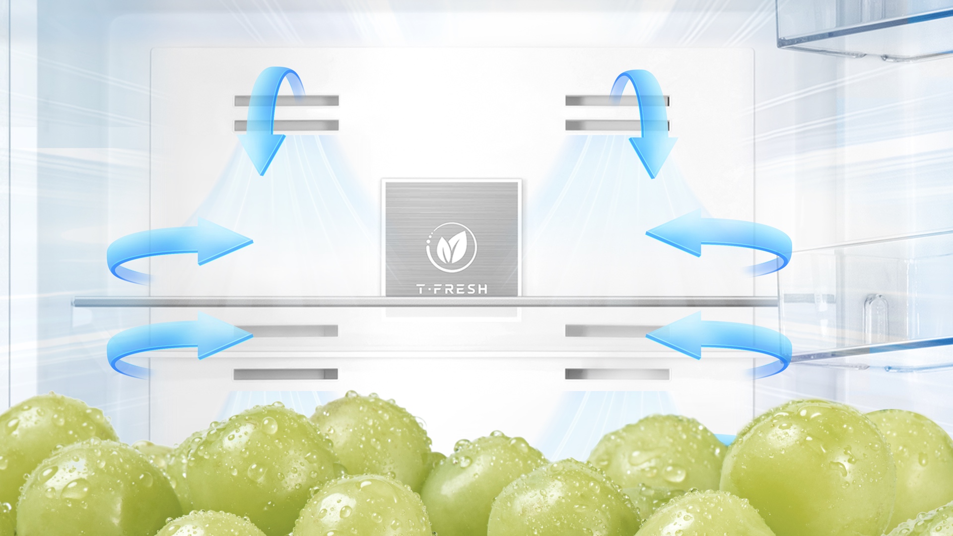 Multi-level homogenous cold air distribution for optimal food preservation