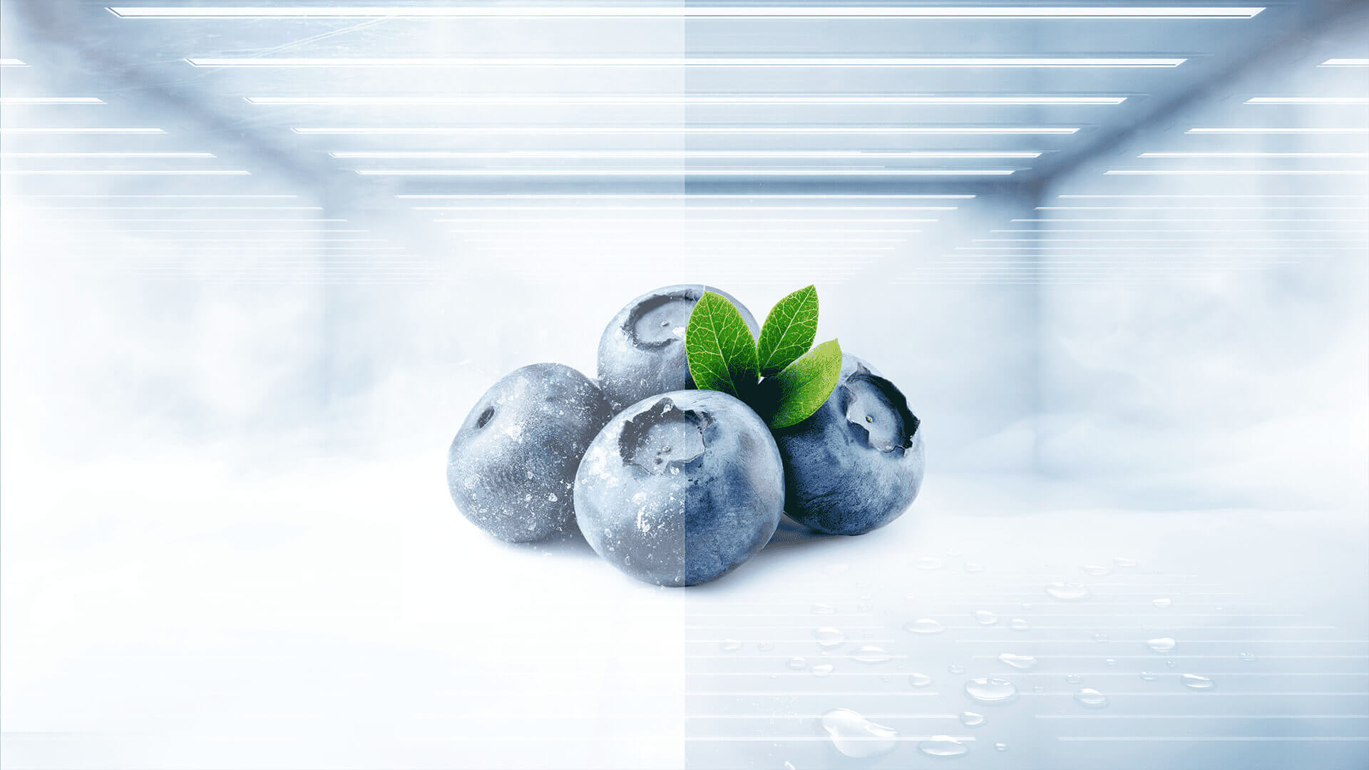 TCL rc456Cse0 fridge homogeneous and frost-free cooling