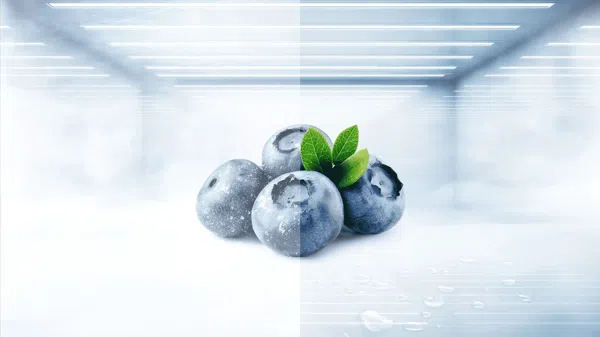 TCL rc456Cse0 fridge homogeneous and frost-free cooling