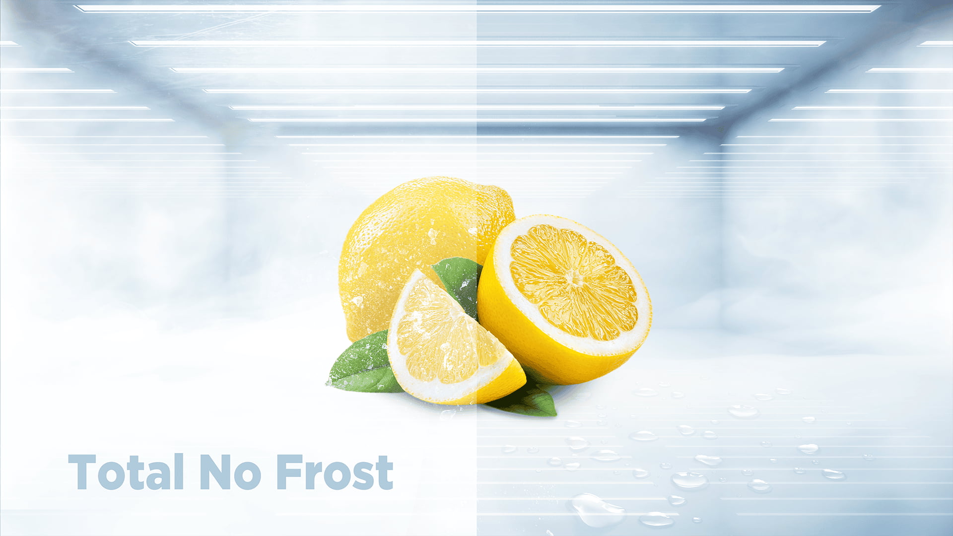 Total no frost