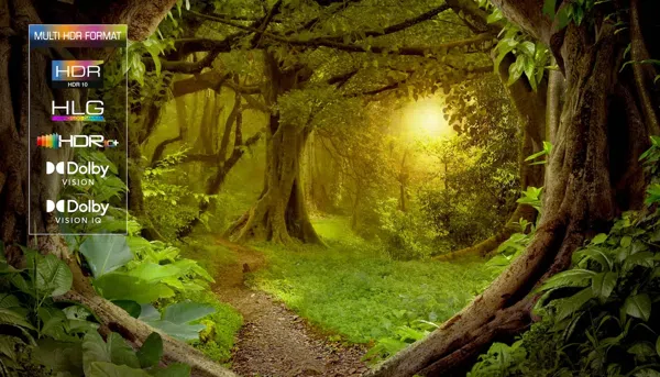 HDR MULTIFORMAT TCL TV