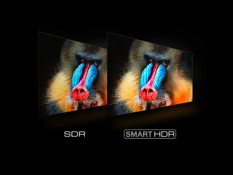 SMART HDR both improves native HDR and converts SDR to HDR.