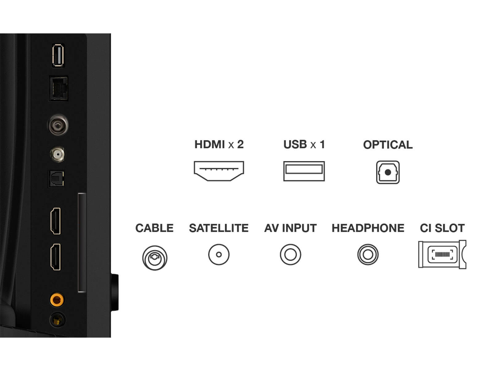 TCL V5C-UK QLED TV-32/40/43 Inch | TCL UK