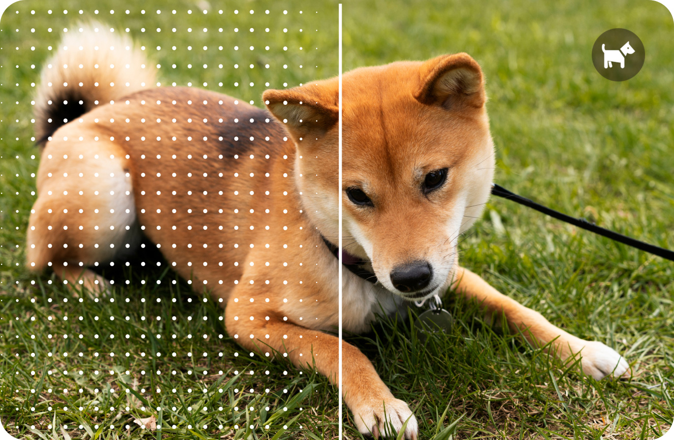 TCL 60 SE Mobile Phone AI scene detection