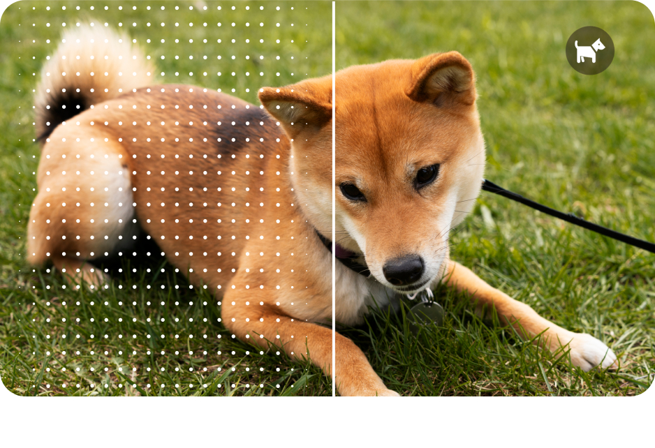 TCL 60 SE Mobile Phone AI scene detection